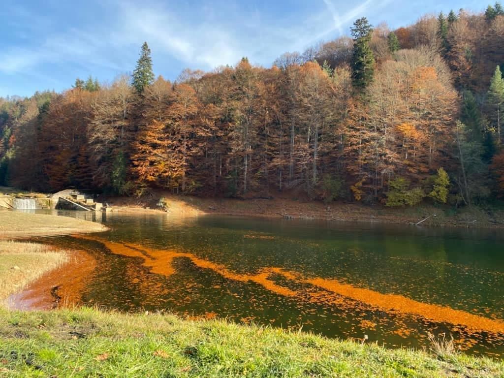 Лоджи Cabana Zimbru Transfagarasan Арефу-10