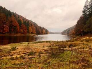 Лоджи Cabana Zimbru Transfagarasan Арефу-4