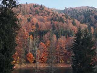 Лоджи Cabana Zimbru Transfagarasan Арефу-5